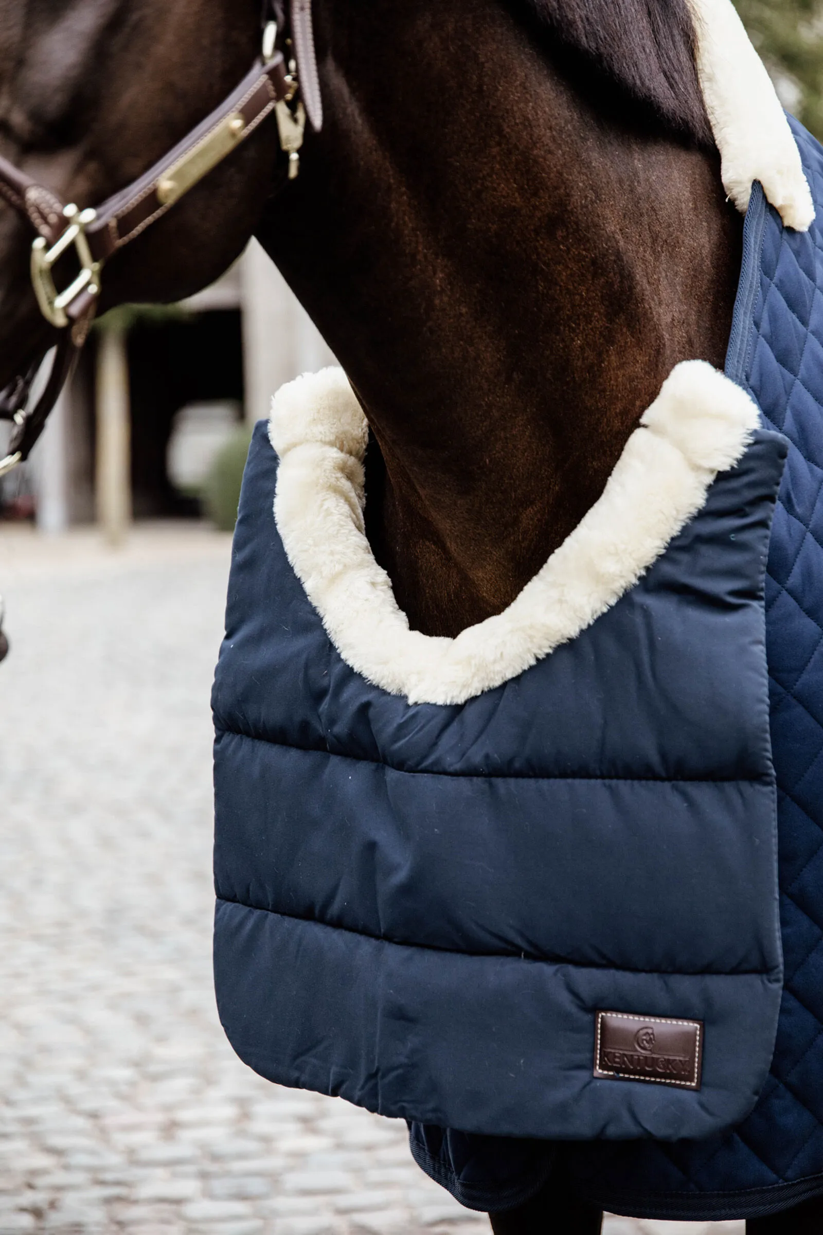 Kentucky Horsewear BAV cavallo invernale